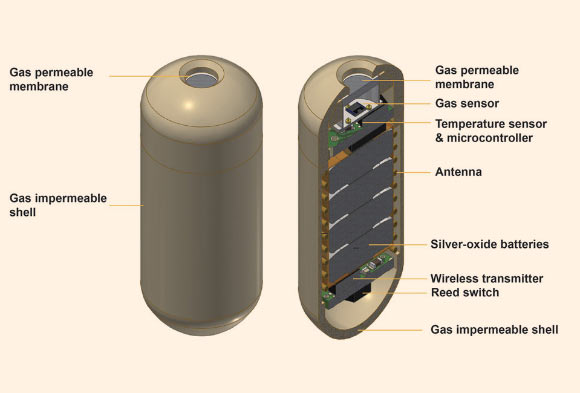 Schematic of a gastric gas profiler (a modified version of gas sensor capsule with higher density): whole capsule (left) and cross sectional view (right). Image credit: Jian Zhen Ou et al, doi: 10.1038/srep33387.
