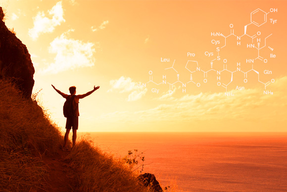Oxytocin supports spirituality. Image credit: Duke University.
