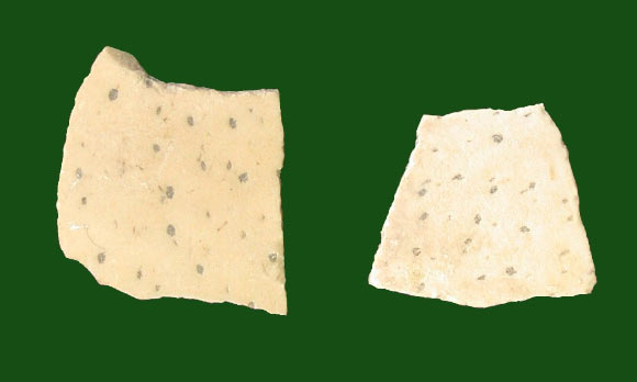 3.8-million-year-old ostrich eggshell fragments from Laetoli, Tanzania. Image credit: Terry Harrison.