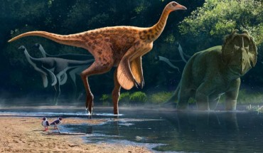 An artistic life reconstruction of Rativates evadens in the paleoenvironment of the Late Cretaceous of Alberta. Image credit: Andrey-Atuchin.