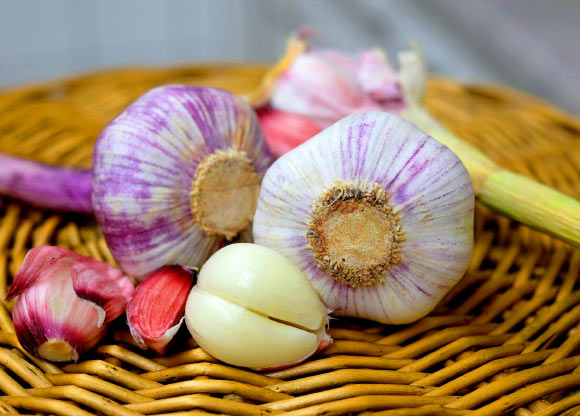 Garlic. Image credit: Couleur.