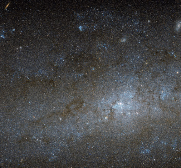 This Hubble image shows the central region of the dwarf spiral galaxy NGC 247, which lies in the constellation Cetus, about 11.5 million light-years away. Image credit: NASA / ESA / Hubble.