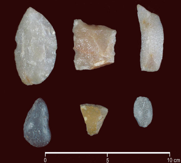 Sample of stone tools (scrapers, flakes and bipolar cobble) found at the Arroyo Seco 2 site. Image credit: G.G. Politis et al.