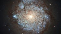 This image shows the spiral galaxy NGC 278, which lies in the northern constellation Cassiopeia, about 41.7 million light-years away. Image credit: NASA / ESA / Hubble / S. Smartt, Queen's University Belfast.