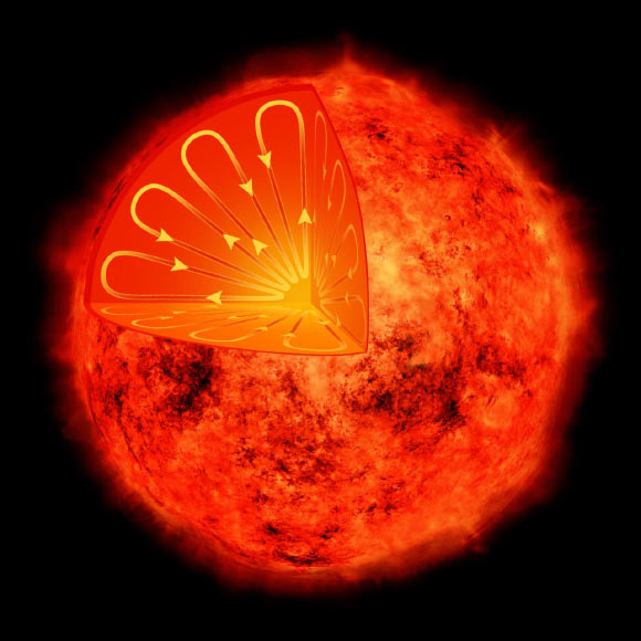 An artist’s illustration depicts the interior of a low-mass star. Such stars have different interior structures than the Sun, so they are not expected to show magnetic activity cycles. However, B.J. Wargelin et al have discovered that Proxima Centauri shows signs of a 7-year activity cycle. Image credit: NASA / CXC / M.Weiss.
