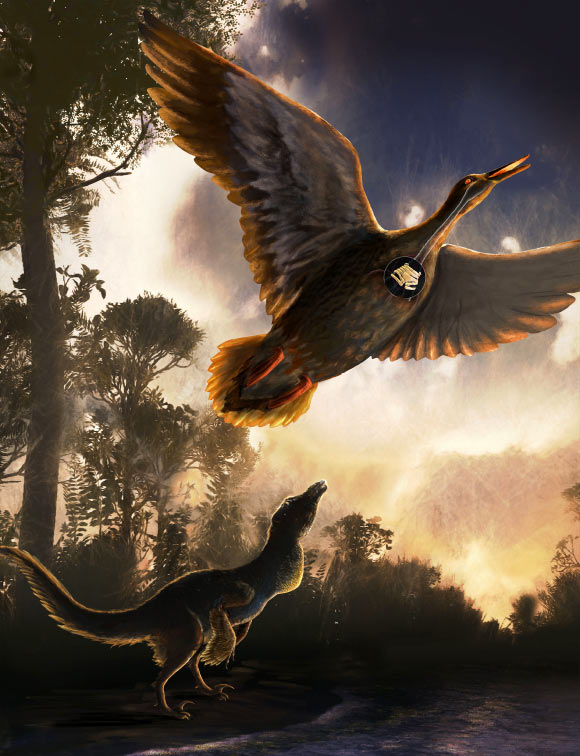 In a Nothofagus forest on the shoreline of Vega Island, Antarctica, a mid-sized raptor dinosaur is shown using close-mouth vocal behavior and Vegavis iaai is flying overhead. Image credit: Nicole Fuller / Sayo Art / University of Texas at Austin.