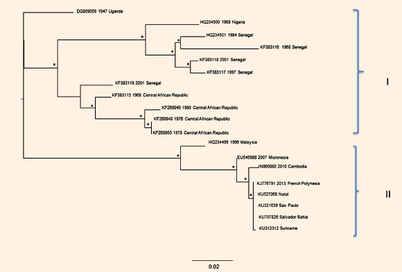 Phylogenetic trees of Env gene sequences of Zika virus. Image credit: Silvia Angeletti et al.