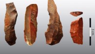 This image shows heated silcrete artifacts made by Middle Stone Age humans at Klipdrift Shelter, South Africa. Image credit: Katja Douze / University of the Witwatersrand.