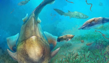 Life reconstruction of Qilinyu along with Guiyu and Entelognathus in Silurian waters. Image credit: Dinghua Yang.