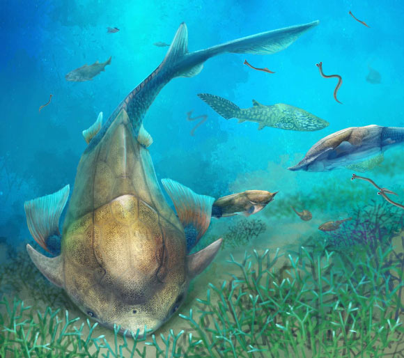 Life reconstruction of Qilinyu along with Guiyu and Entelognathus in Silurian waters. Image credit: Dinghua Yang.