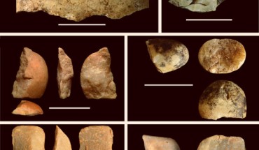 Examples of flaked stones produced by bearded capuchins (Sapajus libidinosus). Scale bars - 5 cm. Image credit: Tomos Proffitt et al.