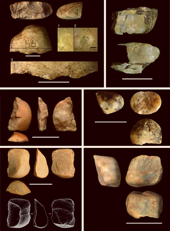 Examples of flaked stones produced by bearded capuchins (Sapajus libidinosus). Scale bars - 5 cm. Image credit: Tomos Proffitt et al.
