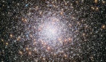 This image from the NASA/ESA Hubble Space Telescope shows the globular cluster NGC 362. Image credit: NASA / ESA / Hubble.