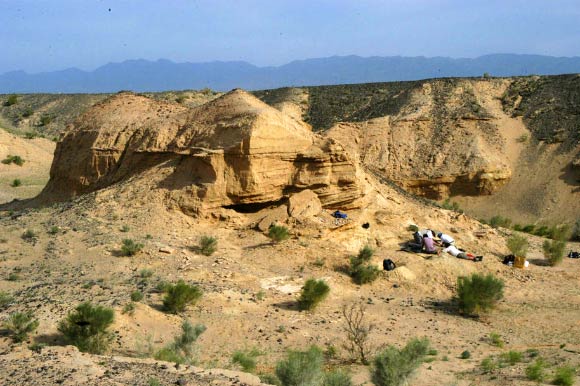 Field locality of the Avimimus bonebed. Image credit: Gregory F. Funston et al.