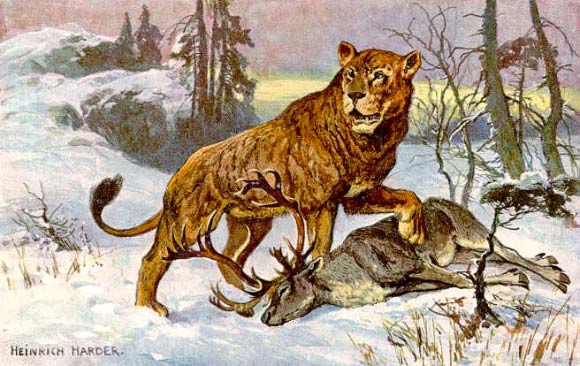 Cave lion (Panthera leo spelaea) by Heinrich Harder, 1920.
