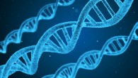 DNA. Image credit: Qimono.