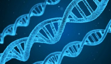 DNA. Image credit: Qimono.