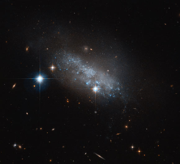This image, taken with the Advanced Camera for Surveys on board the NASA/ESA Hubble Space Telescope, shows the dwarf irregular galaxy IC 3583. Image credit: NASA / ESA / Hubble.