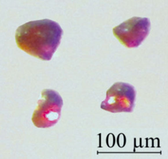 Crystals of cesium platinide hydride 4Cs2Pt*CsH. Image credit: Ames Laboratory, U.S. Department of Energy.