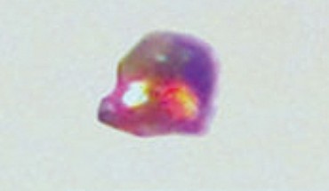 Crystals of cesium platinide hydride 4Cs2Pt*CsH. Image credit: Ames Laboratory, U.S. Department of Energy.