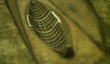 Model of the Sutton Hoo ship-burial. The placement of the burial chamber is marked white. Image credit: Steven J. Plunkett / CC BY-SA 3.0.