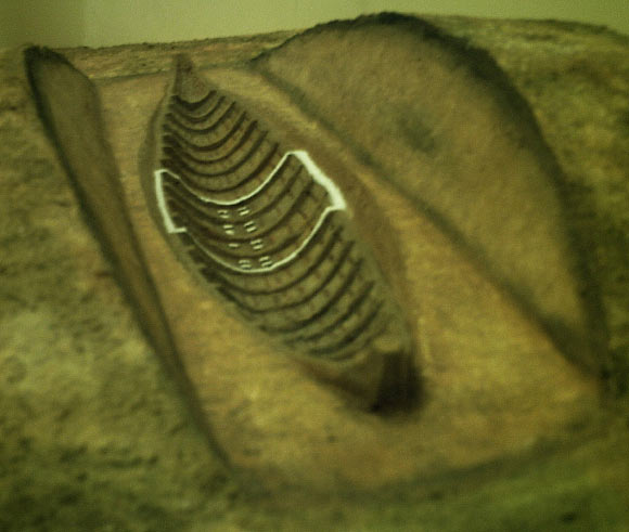 Model of the Sutton Hoo ship-burial. The placement of the burial chamber is marked white. Image credit: Steven J. Plunkett / CC BY-SA 3.0.