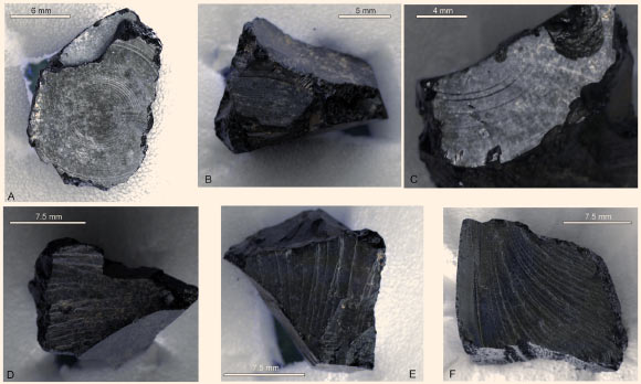 RTI (reflectance transformation imaging) images of surface morphology on fragments of black organic material from the Sutton Hoo ship-burial. Image credit: P. Burger et al, doi: 10.1371/journal.pone.0166276.