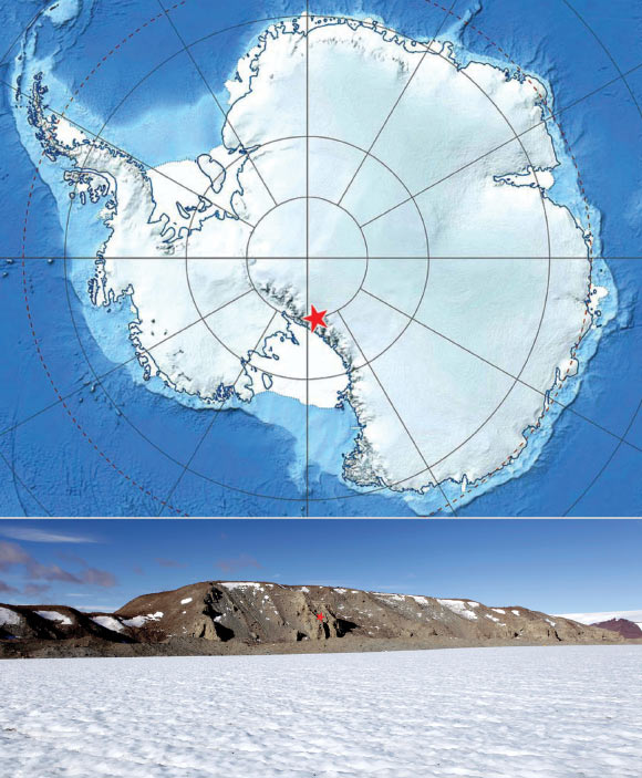 Top: the type locality for the Ball’s Antarctic tundra beetle (Antarctotrechus balli) is shown by the red star. Bottom: ancient glacial deposits of the Meyer Desert Formation exposed in the Oliver Bluffs on the flanks of the Beardmore Glacier; the deposits are downthrown along the Koski fault which is marked by the prominent escarpment towards the north end of the bluffs (left on image). The type locality for the species is at the north end of the bluffs marked by a red star. Image credit: A.C. Ashworth / T.L. Erwin.