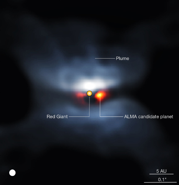 Composite view of L2 Puppis in visible light. Image credit: Kervella et al / CNRS / University of Chile / Observatory of Paris / LESIA / ESO / ALMA.