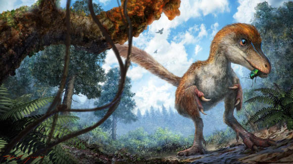 This reconstruction depicts a small coelurosaur approaching a resin-coated branch on the forest floor. Image credit: Chung-tat Cheung.