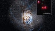 The distorted galaxy in the simulation (main image) results from a collision and merger between two galaxies. Astronomers think such a merger could be the reason why SPT0346-52 is having such a boom of stellar construction. Once the two galaxies collide, gas near the center of the merged galaxy (shown as the bright region in the center of the simulation) is compressed, producing a burst of new stars. The composite inset shows X-ray data from Chandra (blue), short wavelength infrared data from Hubble (green), infrared light from Spitzer (red) at longer wavelengths, and infrared data from ALMA (magenta) at even longer wavelengths. There is no blue at the center of the image, showing that Chandra did not detect any X-rays that could have signaled the presence of a growing black hole. Image credit: X-ray – NASA / CXC / University of Florida / J. Ma et al; optical – NASA / STScI; infrared – NASA / JPL-Caltech; radio – ESO / NAOJ / NRAO / ALMA; simulation - Simons Foundation / Gordon and Betty Moore Foundation / Flatiron Institute / Caltech / C. Hayward & P. Hopkins.