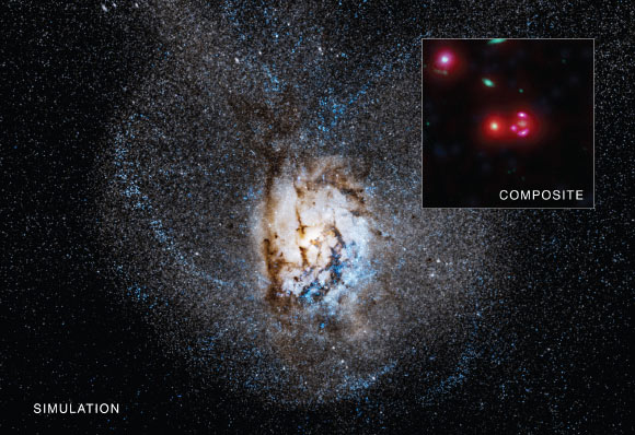 The distorted galaxy in the simulation (main image) results from a collision and merger between two galaxies. Astronomers think such a merger could be the reason why SPT0346-52 is having such a boom of stellar construction. Once the two galaxies collide, gas near the center of the merged galaxy (shown as the bright region in the center of the simulation) is compressed, producing a burst of new stars. The composite inset shows X-ray data from Chandra (blue), short wavelength infrared data from Hubble (green), infrared light from Spitzer (red) at longer wavelengths, and infrared data from ALMA (magenta) at even longer wavelengths. There is no blue at the center of the image, showing that Chandra did not detect any X-rays that could have signaled the presence of a growing black hole. Image credit: X-ray – NASA / CXC / University of Florida / J. Ma et al; optical – NASA / STScI; infrared – NASA / JPL-Caltech; radio – ESO / NAOJ / NRAO / ALMA; simulation - Simons Foundation / Gordon and Betty Moore Foundation / Flatiron Institute / Caltech / C. Hayward & P. Hopkins. 