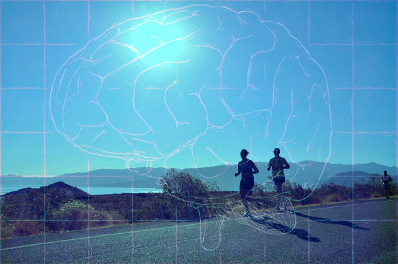 Running may affect the structure and function of the brain in ways similar to complex tasks like playing a musical instrument. Image credit: Pete Linforth / Skeeze.