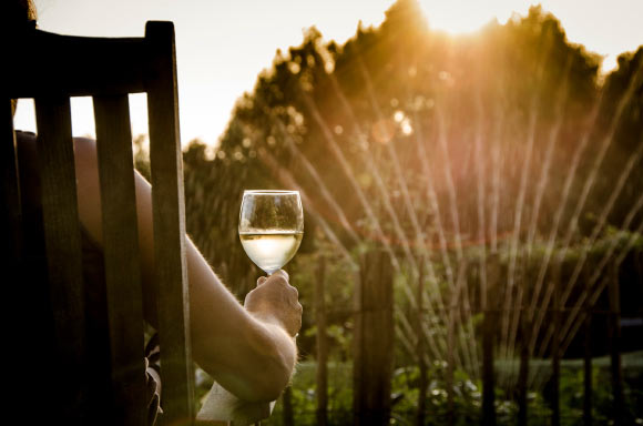 Andrew Rivera et al found that alcohol intake is associated with a modest increase in the risk of melanoma. Image credit: Skitterphoto.