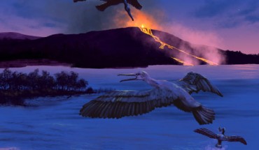 An artist’s conception of Tingmiatornis arctica’s possible environment 90 million years ago, characterized by volcanic activity, a freshwater bay, turtles, fish, and champsosaurs. Image credit: Michael Osadciw, University of Rochester.