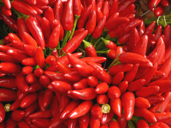 Capsaicin is found in Capsicum peppers. Image credit: Hans Braxmeier.