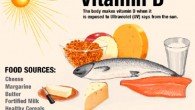 According to Danmei Su et al., vitamin D improves gut flora. Image credit: Richard Stockton College of New Jersey.
