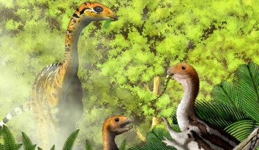 Limusaurus inextricabilis is the only known reptile to lose its teeth and form a beak after birth. Image credit: Yu Chen.