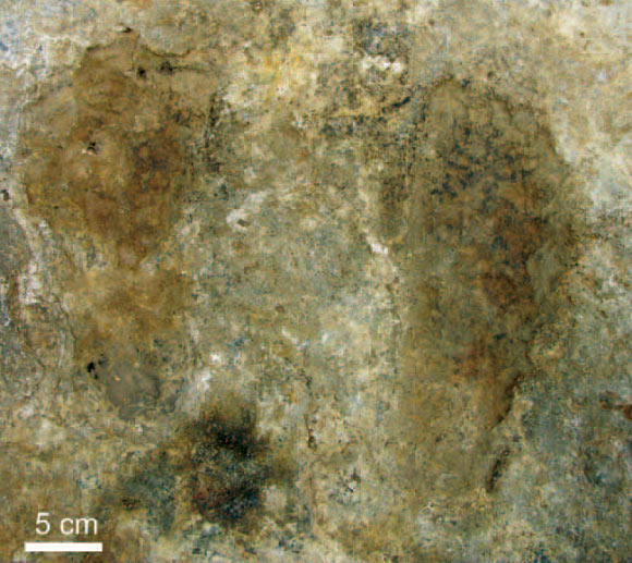 These fossilized human footprints near Chusang, Tibet, were made between 13,000-7,400 years ago, according to a new analysis. Image credit: Mark Aldenderfer / M.C. Meyer et al.