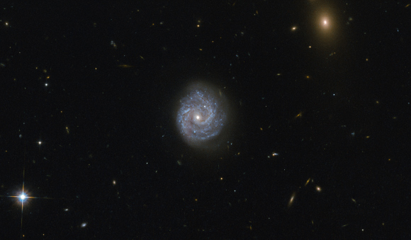 This Hubble Advanced Camera for Surveys image shows the spiral galaxy LEDA 1245565, which lies in the constellation Virgo, about one billion light-years away. Image credit: NASA / ESA / Hubble / Judy Schmidt, www.geckzilla.com.