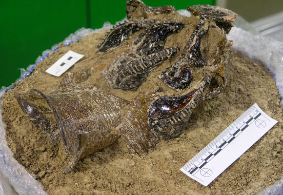 The Anglo-Saxon claw beaker. Image credit: Oxford Archaeology.