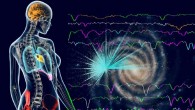 The six most common elements of life on Earth (including more than 97% of the mass of a human body) are carbon, hydrogen, nitrogen, oxygen, sulfur and phosphorus. The colors in the spectra show dips, the size of which reveal the amount of these elements in the atmosphere of a star. The human body on the left uses the same color coding to evoke the important role these elements play in different parts of our bodies, from oxygen in our lungs to phosphorous in our bones (although in reality all elements are found all across the body). In the background is an artist’s impression of the Galaxy, with cyan dots to show the APOGEE measurements of the oxygen abundance in different stars; brighter dots indicate higher oxygen abundance. Image credit: Dana Berry / SkyWorks Digital Inc / SDSS.