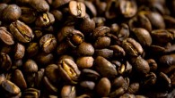 Roasted beans of Arabica coffee (Coffea arabica). Image credit: University of California, Davis.