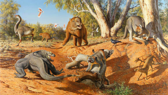 A range of now extinct megafauna that was present when humans first arrived in Australia. Image credit: Peter Trusler, Monash University.