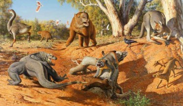A range of now extinct megafauna that was present when humans first arrived in Australia. Image credit: Peter Trusler, Monash University.