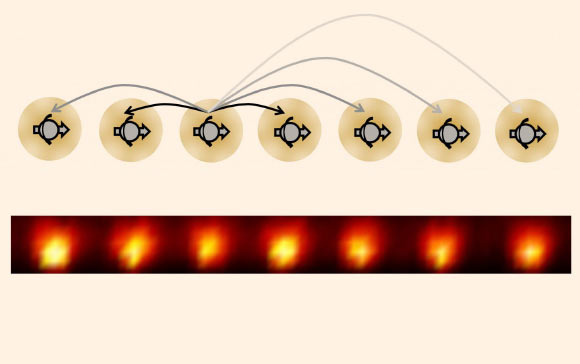 Following a blueprint created by N.Y. Yao et al, University of Maryland physicists made the first time crystal using a one-dimensional chain of ytterbium ions; each ion behaves like an electron spin and exhibits long-range interactions indicated by the arrows. Image credit: J. Zhang et al.