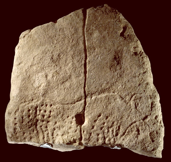 Limestone block engraved with an aurochs. Image credit: P. Jugie, Musée National de Préhistoire Collections.