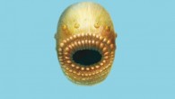 Reconstruction of Saccorhytus coronaries. Image credit: Jian Han et al, doi: 10.1038/nature21072.