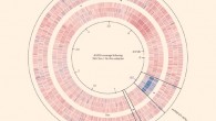 A DNA coverage plot for Escherichia coli following 60 generations (96 h) of growth in the presence and absence of doxycycline: data in the presence (three inner annuli, ‘Dox’) and absence (three outer annuli, ‘No-Dox’) indicate potential genetic mechanisms supporting positive r (growth rate), K (carrying capacity) and resistance adaptation; a change in DNA detected in the sequencing protocol is shown in red (reduction) and blue (increase; and white is complete loss), respectively, with respect to no mean change (in grey); the inner ring (black) indicates genome position and three replicates for each treatment were sequenced; the white region marked dlp12 shows the deletion of prophage dlp12 only during doxycycline treatment; the outer text labels summarize the estimated frequencies of mutations common to all three replicate populations, indicating positive selection for the doxycycline efflux operon, acr, with the prophage deletion at even higher frequency. Image credit: C. Reding-Roman et al, doi: 10.1038/s41559-016-0050.
