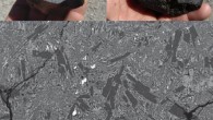 Hand sample images of the cut NWA 7635 stone and a representative backscattered electron image of the igneous texture of the stone. Image credit: Thomas J. Lapen et al, doi: 10.1126/sciadv.1600922.